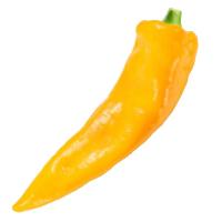 ราคา แอสกรีนพริกหวานยักษ์สเปนสีเหลือง Aqua Green Yellow Sweet Palermo Pepper (4897067024706)