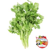 ราคา ดร.ผักชี 30กรัม(C Dr.Coriander 30g.(C (33436029)