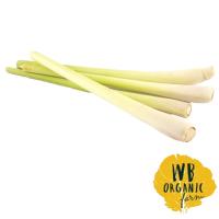 ราคา ดับบิวบีตะไคร้ออร์แกนิค 150กรัม(C WB Organic Lemongrass 150g.(C (48116725)