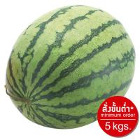 ราคา มายช้อยส์แตงโมกินรี My Choice Kinnaree Watermelon (218962000000)