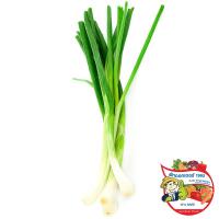 ราคา ดร.ต้นหอม 100กรัม(C Dr.Spring Onion 100g.(C (33433028)