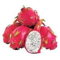 ราคา แก้วมังกรเวียดนาม Vietnamese Dragon Fruit (218960000002)