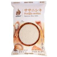 ราคา ไก่แจ้ข้าวญี่ปุ่น 5กก. Kaijae Japanese Rice 5kg. (8858901603460)