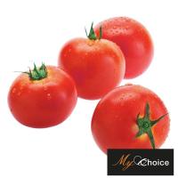 ราคา มายช้อยส์มะเขือเทศพันธุ์เนื้อ My Choice Beef Tomato (217668000000)