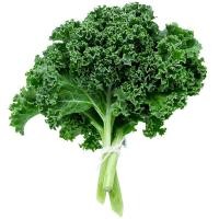 ราคา ผักเคล 100กรัม Kale 100g. (48582155)
