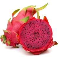 ราคา แก้วมังกรเนื้อแดง Red Dragon Fruit (219435000008)