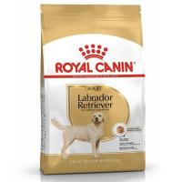 ราคา Royal Canin โรยัล คานิน อาหารสุนัขแบบเม็ด สำหรับสุนัขโตสายพันธุ์ลาบราดอร์12 kg Royal Canin Dry Food For Adult Dog Labrador Breed 12 kg (3182550715645)