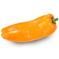 ราคา แอสกรีนพริกหวานยักษ์สเปนสีส้ม Aqua Green Orange Sweet Palermo Pepper (4897067024683)