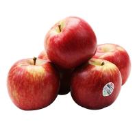 ราคา แอปเปิ้ลเอนวี่ Size M Envy Apple Size M (216811000003)