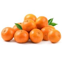 ราคา วี.ส้มไร้เมล็ด 800 กรัม(C V.Seedless V Orange 800g (C (215330000006)