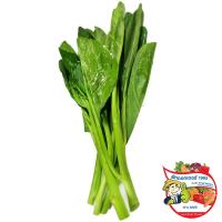 ราคา ดร.สุดยอดคะน้า 200กรัม(C Dr.Baby Chinese Kale 200g.(C (33439020)