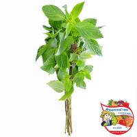 ราคา ดร.ใบโหระพา 50กรัม(C Dr.Sweet Basil 50g.(C (38690068)