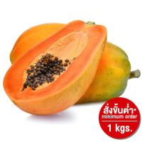 ราคา มะละกอเรดเลดี้ Red Lady Papaya (216118000003)