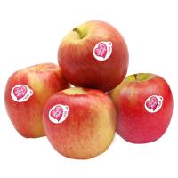ราคา มายช้อยส์แอปเปิ้ลพิงค์เลดี้ แพค 4 My Choice Pink Lady Apple Pack 4 (48603881)