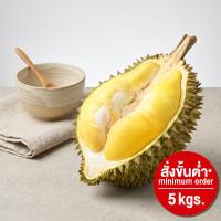 ราคา มายช้อยส์ทุเรียนหมอนทองคัดพิเศษ My Choice Premium Monthong Durian (218522000006)