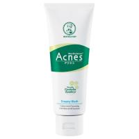 ราคา เมนโทลาทั่มแอคเน่โฟมครีมมี่วอช 100มล. Mentholatum Acnes Foaming Cream Wash 100ml. (8851520080223)