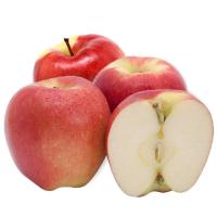ราคา แอปเปิ้ลแอมโบรเชียแพค 3 Ambrosia Apple Pack 3 (48518437)