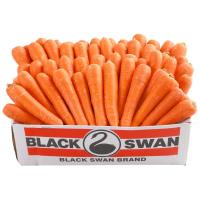 ราคา แครอทออสเตรเลีย Australian Carrot (217393000009)
