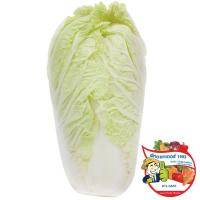 ราคา ดร.ผักกาดขาวปลีออร์แกนิค 400กรัม(C Dr.Organic White Cabbage 400g.(C (46597069)