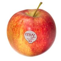 ราคา แอปเปิ้ลเอนวี่ Envy Apple (212173000002)
