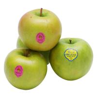 ราคา ออร์แกนิคแอปเปิ้ลเขียว แพค 5 Organic Green Apple Pack5 (20959807)