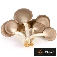 ราคา มายช้อยส์เห็ดนางฟ้าภูฐานออร์แกนิค 100กรัม My Choice Organic Phutan Mushroom 100g. (48390781)