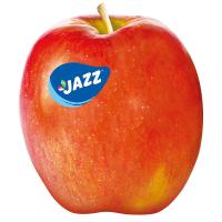 ราคา แอปเปิ้ลแจ๊ส Jazz Apple (211870000001)