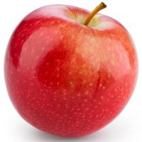 ราคา แอปเปิ้ลควีนพรีเมียม Premium Queen Apple (215936000004)