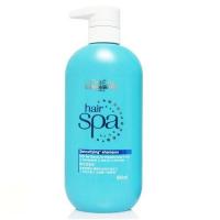ราคา Loreal Hair spa detoxifying shampoo 600 ml (5669753)