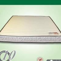 ราคา NB ที่นอนยางพาราผ้าขนนก Homematt ขนาด 3 ฟุต หนา 6 นิ้ว รุ่น พารามิเดียม Paramedium (1719530255)