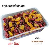 ราคา Hot deal แครนเบอร์รี่จากชิลี ลูกเกดสีทองอเมริกา ลูกเกดดำเม็ด ผสมกัน กระปุกละ 180 ขนาด 500 กรัม ลูกเกด แครนเบอร์รี่ ผลไม้อบแห้ง ผลไม้ ผลไม้แปรรูป ของกินเล่น ขนม อาหาร ของกิน l Kanomjompalang (78834290