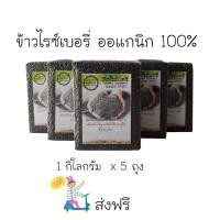 ราคา ข้าวไรซ์เบอรี่ 1 กล่อง มี 5 กิโลกรัม เป็นข้าวปลูกแบบเกษตรอินทรีแท้100 (337850133)