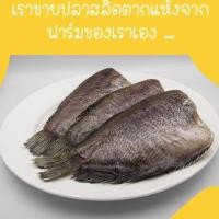 ราคา ปลาสลิดแดดเดียว ขนาด11ตัว 1กิโลกรัม 270บาท มีไข่ (725854312)