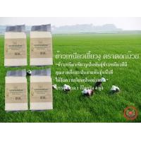 ราคา ข้าวเหนียวเขี้ยวงู 1 กก จำนวน 4 ถุง (507306465)