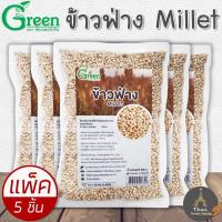 ราคา Dr Green ตราด็อกเตอร์กรีน ข้าวฟ่าง Millet ขนาด 500 กรัม ข้าวฟ่าง 100 แพ็ค 5 ชิ้น (697560799)