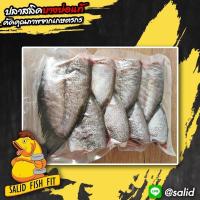 ราคา ปลาสลิด ปลาสลิดแดดเดียว ปลาสลิดบางบ่อ แท้100 ปลาสลิดคุณภาพจากเกษตรกร เลี้ยงโดยบ่อธรรมชาติ สด สะอาด อร่อย เนื้อแน่นๆ size L ขนาด 7 8 ตัว กิโลกรัม (812252455)
