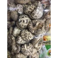 ราคา เห็ดหอมญี่ปุ่น เห็ดหอม ดอกขนาดใหญ่ ห่อละ 500g ครี่งกิโล (1154090578)