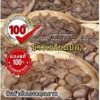 ราคา ข้าวเกรียบปลาปัตตานี แผ่นดิบ บรรจุถุง ของดี ของแท้ ราคาพิเศษ ข้าวเกรียบปลาสูตรพิเศษ แป้งน้อยเนื้อปลาเยอะ แผ่นดิบพร้อมทอด ขนาด 500 กรัม (513018662)