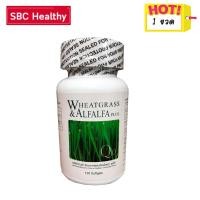ราคา ผักเม็ด วีทกราสและอัลฟัลฟา Wheatgrass Alfalfa Plus 120 เม็ด 1 กระปุก ArmStrong Network (1034212261)