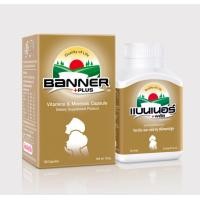 ราคา Banner Plus Vitamin Minerals อาหารเสริมวิตามินและแร่ธาตุ ขนาด100 เม็ด (330666359)