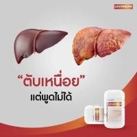 ราคา ของแท้ ส่งฟรี LEVAREAN อัลติม่า ไลฟ์ เลวารีน 1 กระปุก ผลิตภัณฑ์เสริมอาหารบำรุงตับ บำรุงตับ ตัวช่วยบำรุงตับ ฟื้นฟูตับที่ดีที่สุด ล้างสารพิษในตับ ป้องกันตับเสื่อม ตับอักเสบ ตับแข็ง ผ่านการตรวจประเมิน G