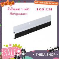 ราคา คิ้วกันแมลง 1 เมตร ที่กั้นประตู ที่กั้นประตูแบบขนแปรง คิ้วกันแมลง กันฝุ่น ชนิด อุปกรณ์กั้นประตู ที่กั้นแอร์ออก ที่กันฝุ่น ซิลกันแมลง รุ่นใช้น๊อตสกรู ยึด ขนาดยาว 1 เมตร คละสี T0303 (1063226625)