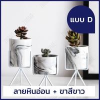 ราคา 7Home มี4แบบ กระถางต้นไม้ กระถางต้นไม้เซรามิก กระถาง กระถางตกแต่ง กระถางต้นไม้มีขา ขาตั้งกระถางต้นไม้ (859308500)
