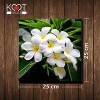 ราคา กรอบรูป กรอบลอย ติดผนัง ดอกไม้ ดอกลีลาวดี ขนาด 25 X 25 ซม (1500394194)