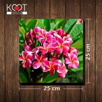 ราคา กรอบรูป กรอบลอย ติดผนัง ดอกไม้ ดอกลีลาวดี ขนาด 25 X 25 ซม (1500452581)