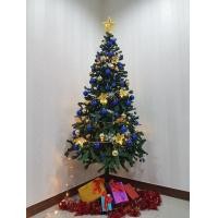 ราคา ต้นคริสมาสต์สีเขียวฐานเหล็ก ขนาด2 1เมตร 7ฟุต พร้อมของตกแต่งธีมลูกบอล ต้นคริสต์มาสขนาดกลาง ต้นคริสมาสปลอมชนิดพุ่มหนา 7 2 1M Medium sized Christmas Tree (1109970448)