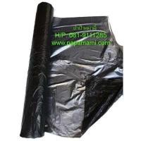 ราคา papamami พลาสติกคลุมดิน พลาสติกคลุมแปลง คลุมกำจัดหญ้า  สีดำ/เงิน ผสมยูวี 100ซม.x400หลาx25ไมครอน (1ม้วน) (433864137)