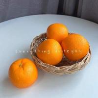 ราคา พร้อมส่ง โมเดลส้ม ส้มปลอม ผลไม้ปลอม ส้มไหว้เจ้า ผลไม้ประดิษฐ์ ลูกละ 49 บาท (12199866285)
