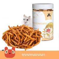 ราคา Petaholic CST014 หนอนนกอบแห้ง 110 กรัม หนอนอบแห้งสำหรับหนูแฮมเตอร์ ชูการ์ เม่นแคระ นก ปลา Hamster Dried Mealworms (9886494202)