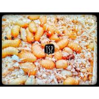 ราคา ด้วงสาคู ด้วงมะพร้าวออแกนิค โปรตีนสูง อาหารชูก้า22 25one 100กรัม (10143648825)